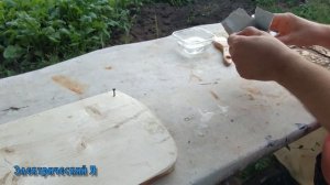 Фигуры Лихтенберга ⚡или как самому? сделать молнии ⚡ на дереве .