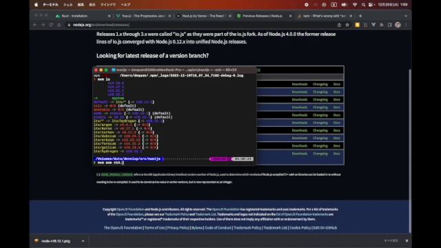 Nuxtjs 01: Cách tạo một project смотреть онлайн