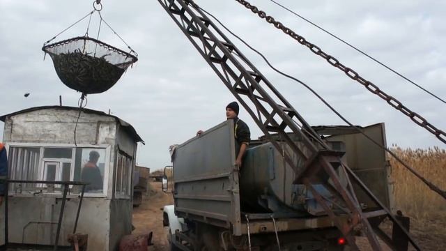 Подводные охотники г. Волгограда зарыбляют Варваровское водохранилище 2016г смотреть онлайн