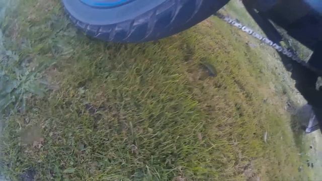 Moped Summer 2k16 | POLICE | CRASHES | Autlaws смотреть онлайн