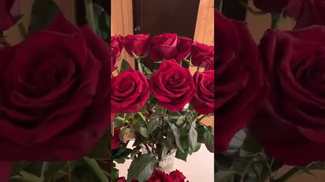 МОИ ЛЮБИМЫЕ РОЗЫ… смотреть онлайн