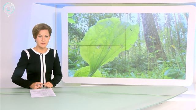 МЧС объявило в Новосибирской области экстренное предупреждение смотреть онлайн