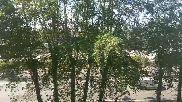 Going by local train + Music Novosibirsk 2022 - Электричка под музыку Новосибирск Карьер Борок 2022 смотреть онлайн