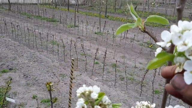 Строительный Челлендж