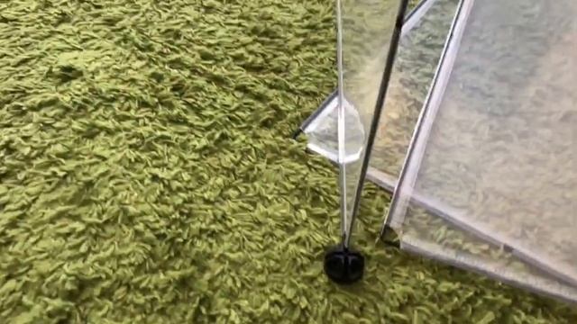 Приобрела вольер ? для котят? С помощью него, буду приучать к лотку? смотреть онлайн