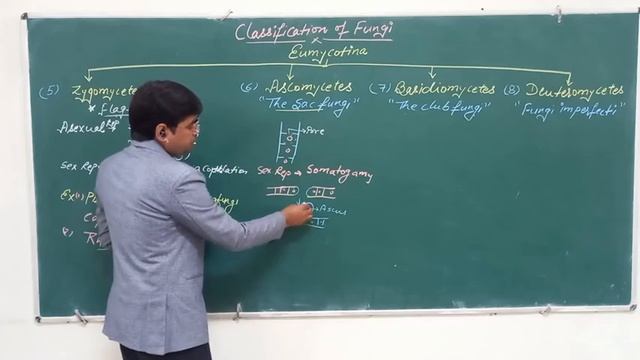 Classification of Fungi Part-2 смотреть онлайн