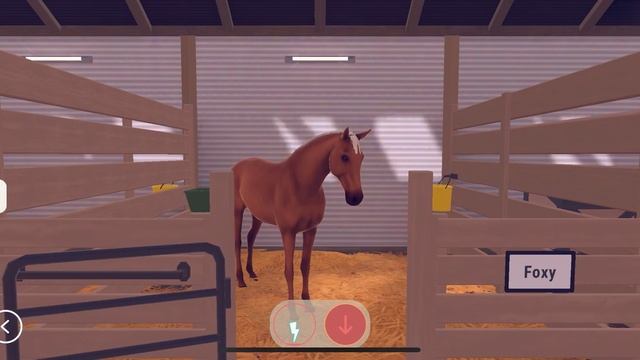Training time+ new Valentines set! Equestrian the game [ETG E51] смотреть онлайн