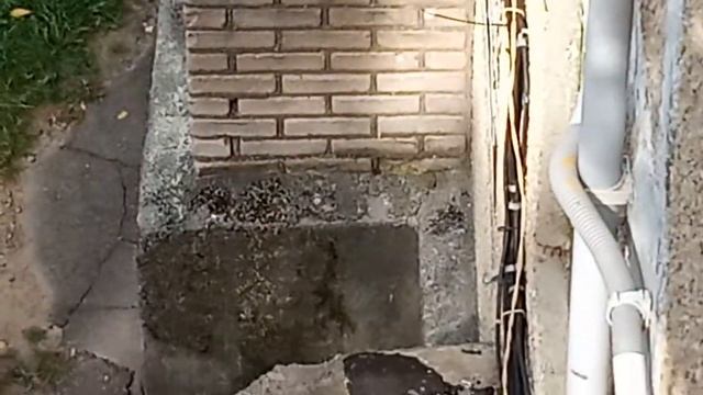 Тайны астральных путешествий