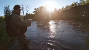 Ловля Жереха на Колебалки | Река Дон | Липецкая область