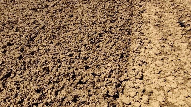 Основное внесение удобрений в почву,перед посадкой клубники. смотреть онлайн