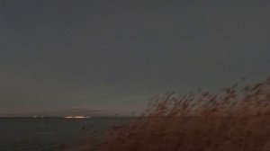 Охота #273 утка на море