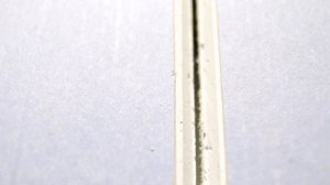 Шпаклёвка стыков гипсокартона, без использования лент,усадка,грунтовка.