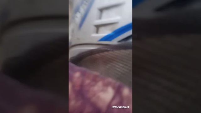 Покатушки на Альфе 72сс, на Минске 125сс смотреть онлайн