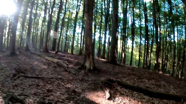 Nike pegasus trail 3 Кросівки смотреть онлайн