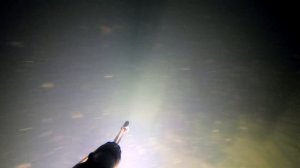 Пеленгасы азовские #1. Ночная подводная охота 2021 на пеленгаса. Генеральские пляжи 2021 июнь