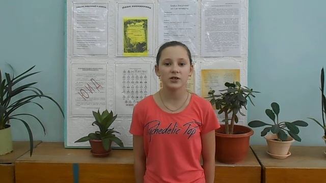 Страна читающая — Алина Мегалинская читает произведение «Стрекоза и муравей» И. А. Крылова смотреть онлайн