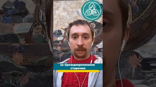 Аюрведа Суть Здоровья