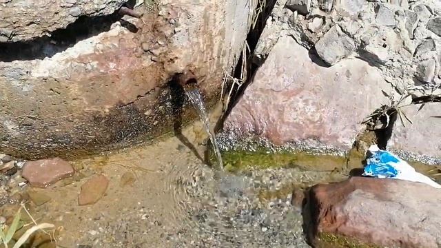 Казахстан—самая чистая и вкусная вода! смотреть онлайн