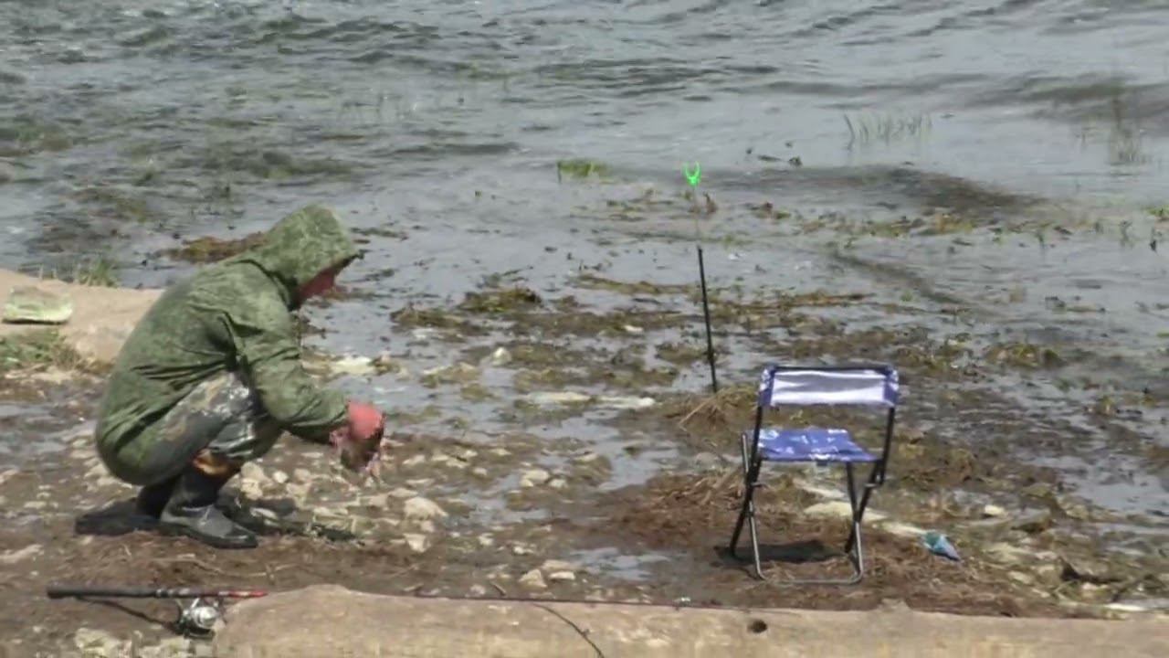 ЛОВЛЯ САЗАНА, КАРАСЯ-ГИБРИДА В ТОЛПЕ. РЫБАЛКА НА РЕКЕ В ЖАРУ смотреть онлайн