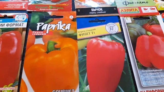 готовим перцы к посадке в 2024г.