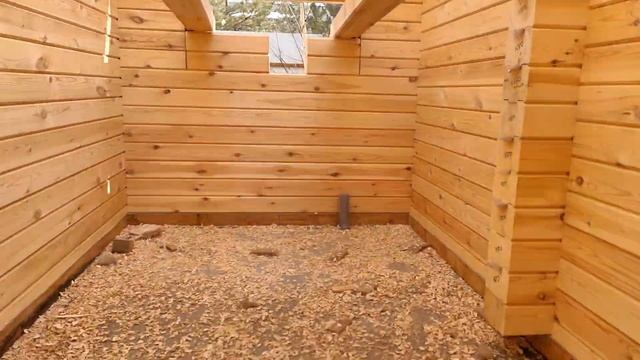 Закончили коробку стен из профилированного бруса, сборка профилированного бруса произведена в чашу. смотреть онлайн