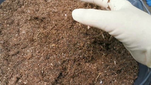 Как ЗАЩИТИТЬ кожу рук при САДОВЫХ РАБОТАХ. Про перчатки и про крем для рук. смотреть онлайн