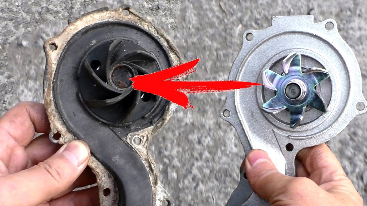 Андрей Северный