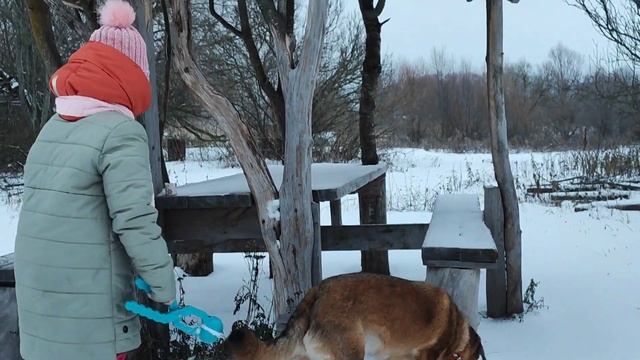 ДДД❤/ Прогулка с Клипсой и Лерой/ Клипса вспомнила прошлую жизнь смотреть онлайн