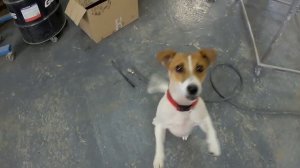 ремонт коробки чери м11