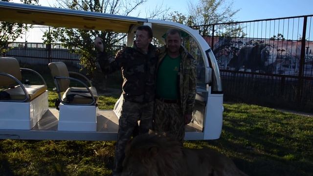 Гламурный ,танцующий лев Олегжка ! смотреть онлайн
