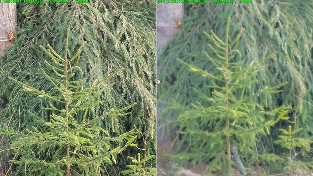 HUAWEI P40 PRO vs HONOR VIEW 30 PRO ТЕСТ КАМЕР смотреть онлайн