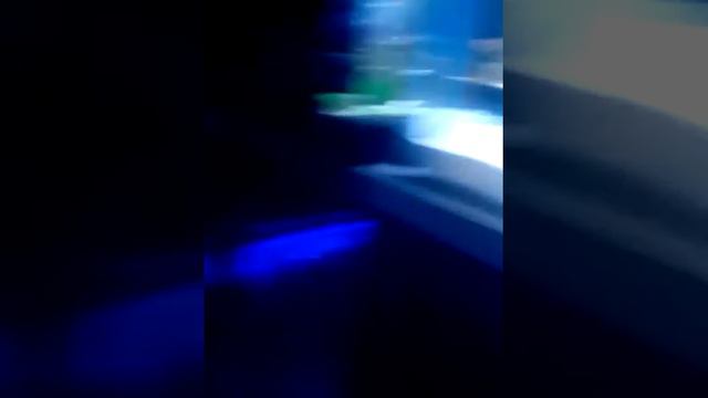 Акеонариум на чёрном море смотреть онлайн