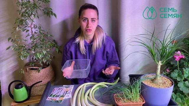 ПОЛЕЗНАЯ И ВКУСНАЯ АЛЬТЕРНАТИВА РЕПЧАТОГО ЛУКА! ВЫРАЩИВАЕМ ЛУК-ПОРЕЙ! смотреть онлайн