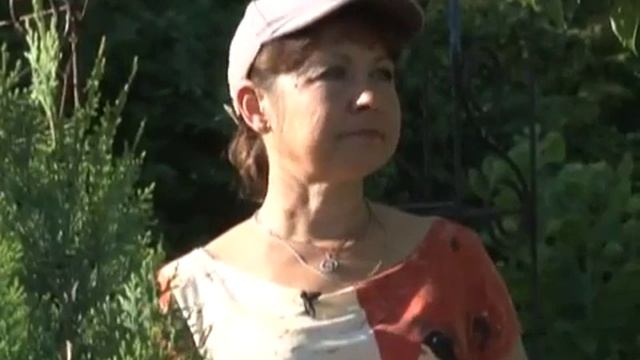 Хвойный сад Успехи на грядках 28 06 2014 GuberniaTV смотреть онлайн