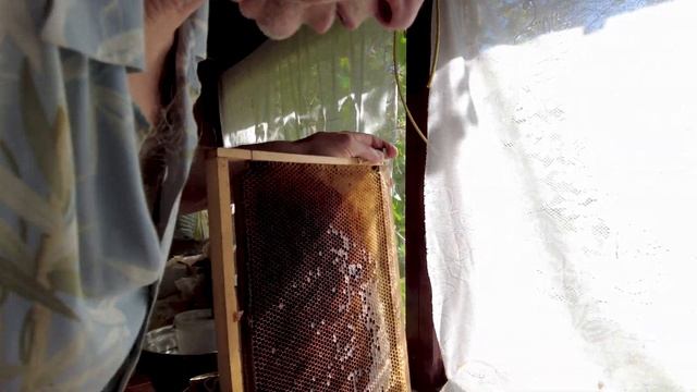 В гостях у пчелок – в селе Вятском, Хабаровский край. (Часть вторая)