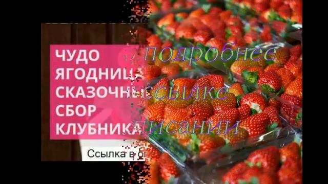 купить клубнику соната смотреть онлайн