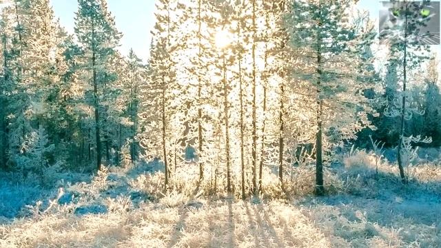 Как загадать желание на Крещение. 4 Заговора в Сочельник перед Крещением. смотреть онлайн
