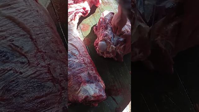 жылқы етін мүшелеп бұзу. #жылқы #малсою #лошади #жылқыбордақылау #той #әр #қазақ білуі #керек