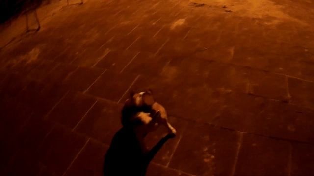 ПОЧЕМУ Я НЕ ДАЮ ГЛАДИТЬ СТАФФОРДА ПОСТОРОННИМ ЛЮДЯМ смотреть онлайн