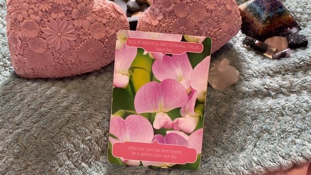 IS THIS TRUE GUIDANCE OR FALSE INTUITIVE PICK A CARD смотреть онлайн
