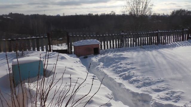 КУПИЛИ КУР В СИЛЬНЫЕ МОРОЗЫ. ГДЕ МЫ ИХ СОДЕРЖИМ И ПЕРВОЕ ЯЙЦО. ДОМ В ДЕРЕВНЕ. Февраль 2021. смотреть онлайн