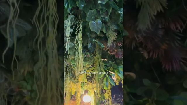 Потолочное озеленение @decor_area смотреть онлайн