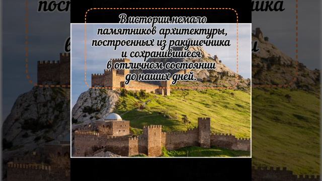 Ракушечник: ценность камня.
#ракушечник камень
#факты смотреть онлайн