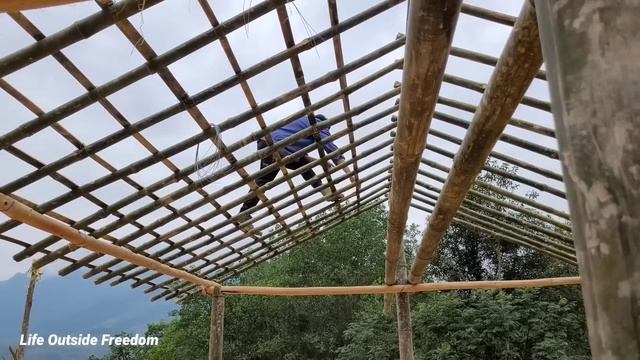 Carrying bamboo to make a frame and roof the kitchen with rattan leaves | Life Outside Freedom смотреть онлайн