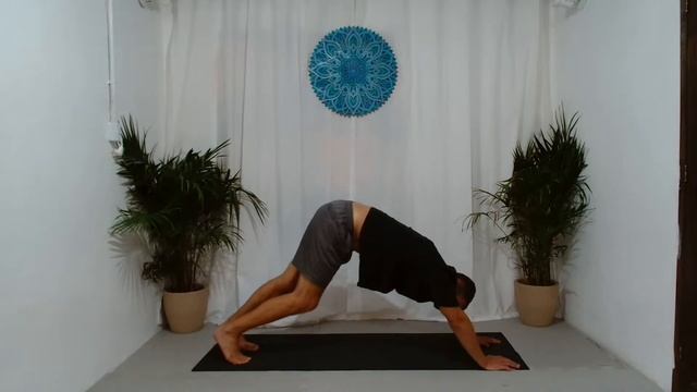 Live de Yoga смотреть онлайн