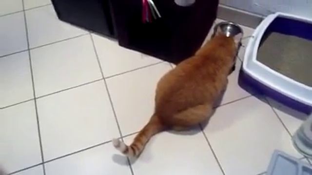 Mein Kater 3 смотреть онлайн