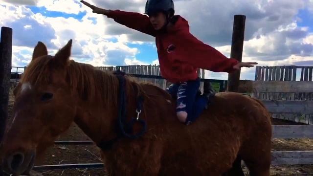 Horses 101: how to make your horse love you смотреть онлайн