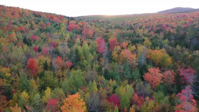 Ченнелинг. Софоос. Серафим Саровский 