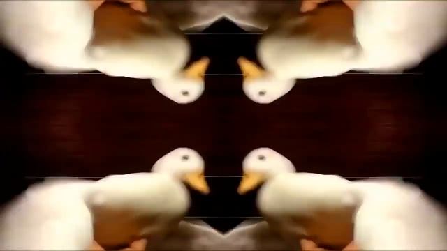 Четкий мэм,четкий монтаж,четкая утка смотреть онлайн