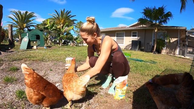 Building my PET CHICKENS the home of their DREAMS (Omlet Coop) смотреть онлайн